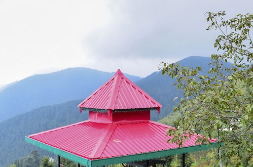 Photo 36 - Chail Cabana by Dumnu Homes