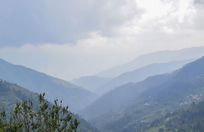 Chail Cabana by Dumnu Homes - Photo 41