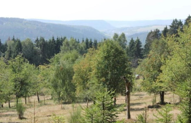 Pretty Holiday Home in Suhl Right Next to the Forest - Photo 39