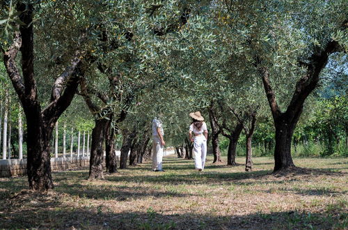 Foto 60 - Family Farm Soc. Agricola - Agriturismo