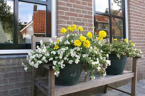 Foto 24 - Fantastic Holiday Home 50m From the Wadden Sea