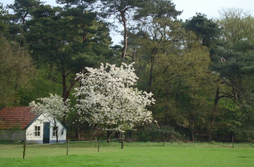 Photo 40 - Fine Vacation Home Near Lemelerberg