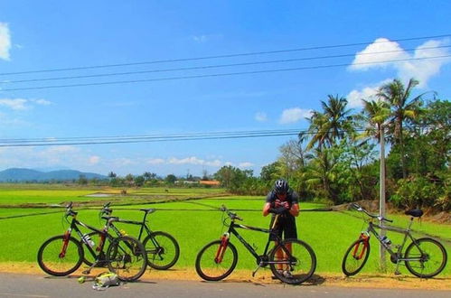 Photo 17 - Green Areca villa