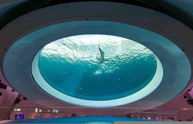 Miami Stay With Pool Luxury - Photo 27
