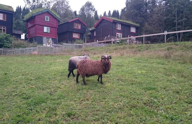 Cozy Cabin Retreat in Scenic Valley, E6 South of Trondheim - Photo 29