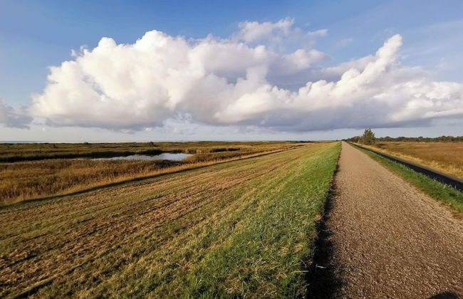 4 Star Holiday Home in Dannemare - Foto 11