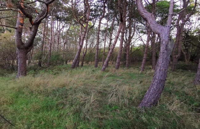 4 Star Holiday Home in Dannemare - Foto 14