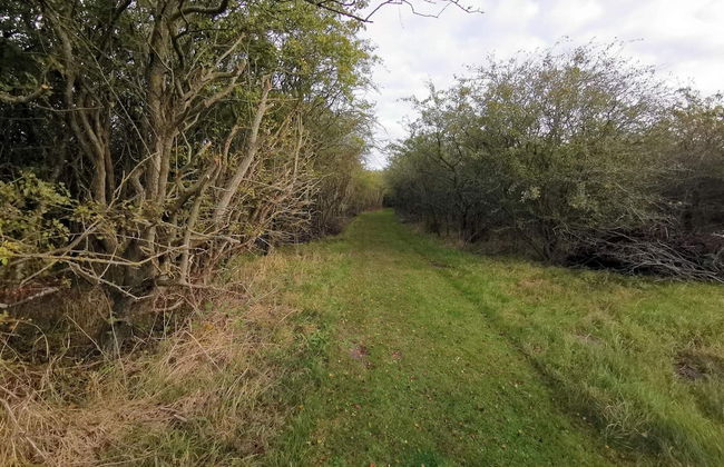 4 Star Holiday Home in Dannemare - Foto 15