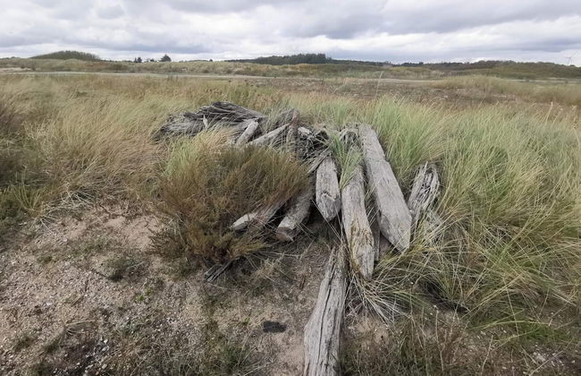 4 Star Holiday Home in Dannemare - Foto 12