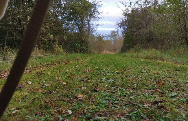 4 Star Holiday Home in Dannemare - Foto 10