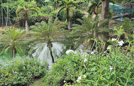 Aparthotel in Le Diamant with swimming pool and garden - Foto 20