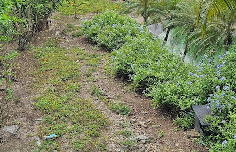 Aparthotel in Le Diamant with swimming pool and garden - Foto 21