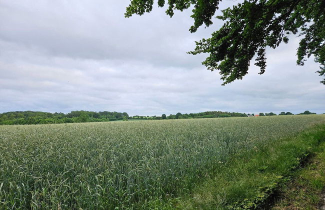 Quaint Holiday Home in Hejls near Sea - Foto 4