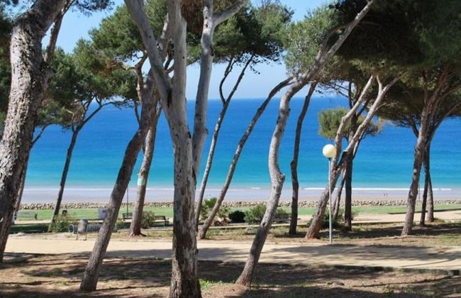 Meridiano 19723 in Conil de la Frontera - Foto 19