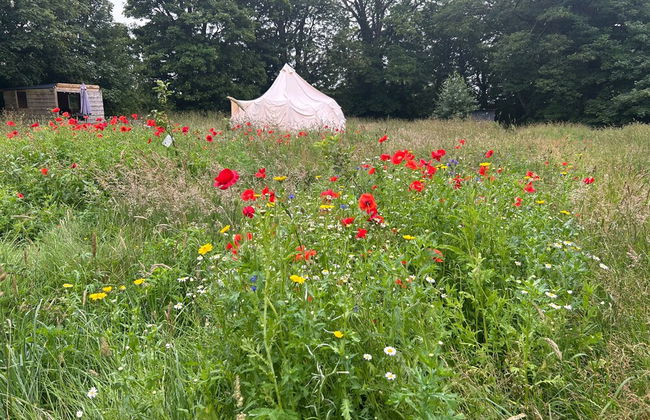 Beautiful Bell Tent Stay - Foto 34