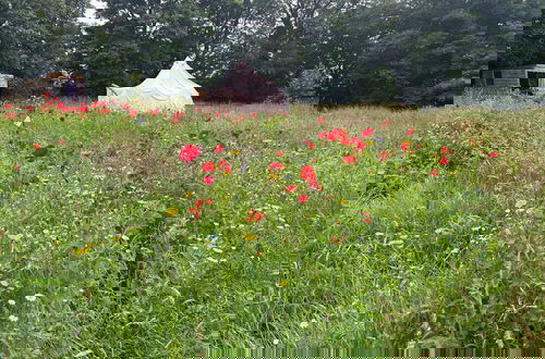 Foto 34 - Beautiful Bell Tent Stay