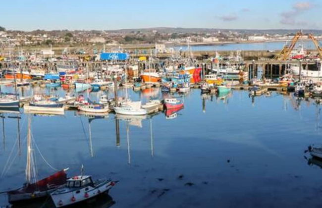 Pandora Lovely Seaside Cottage Sleeps 4 Newlyn - Foto 22