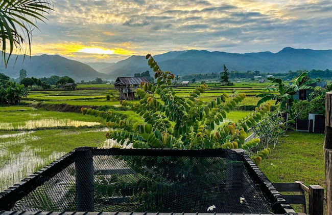 Deetorjai FarmStay Nan - Photo 27