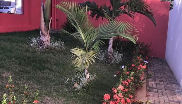 Terraço/pátio interior