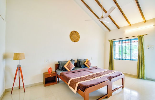 Papilio Beach Front Cottages - Foto 8