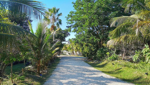 Entrada (vista interior)