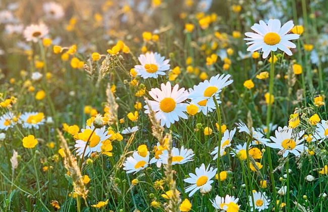 2 Person Holiday Home in Nassjo - Foto 14