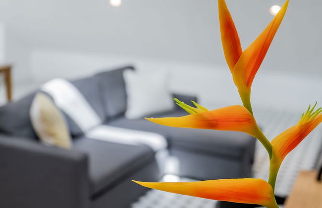 w Perfect Loft in Plaza Catedral - Photo 11