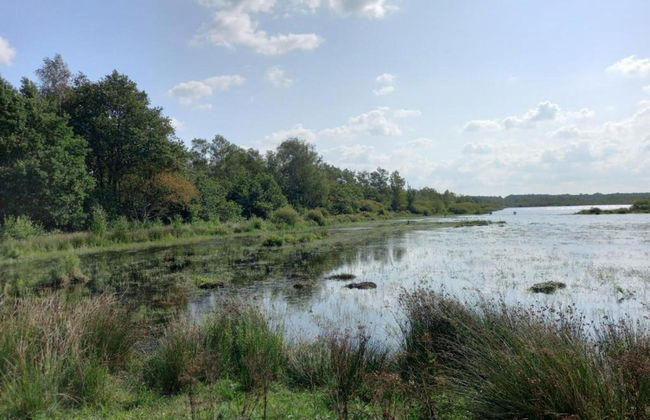 Chalet in Friesland Near Large Lakes - Foto 30