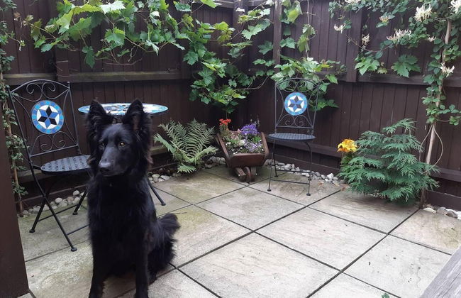Beautiful 6-bed Dog Friendly Cottage in Heacham - Foto 27