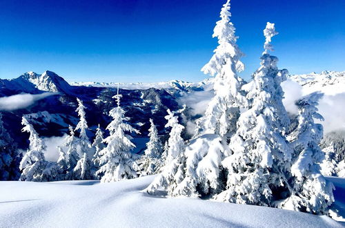 Photo 25 - Cozy Chalet With Amazing Mountain Views Ski-in, Ski-out, Trailheads