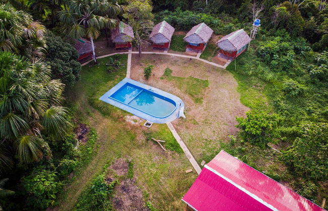 La Casa del Ayahuasca - Luz del Amazonas - Photo 1
