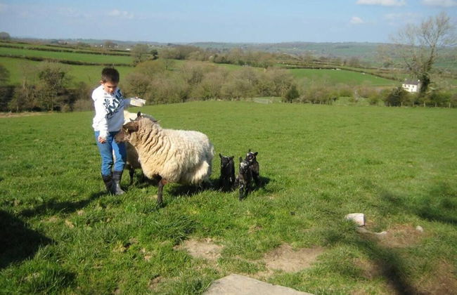 Relaxing Holiday in Millpond Cottage - Cwmiar - Foto 9