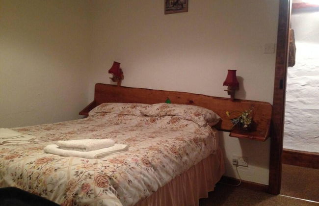 Relaxing Holiday in Millpond Cottage - Cwmiar - Foto 2