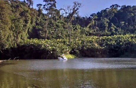 Vila Paraíso - Blumenau - SC - Foto 51