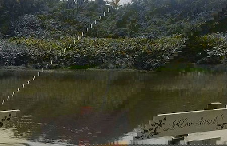 Vila Paraíso - Blumenau - SC - Foto 52