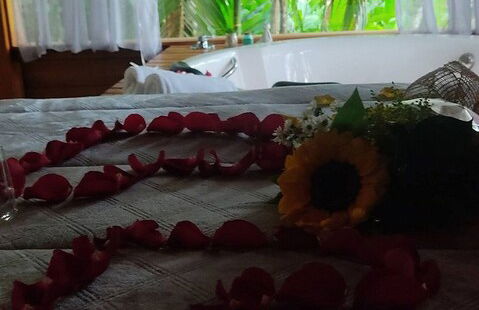 Vila Paraíso - Blumenau - SC - Foto 27