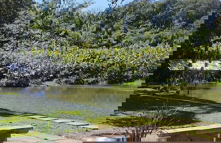 Vila Paraíso - Blumenau - SC - Foto 54