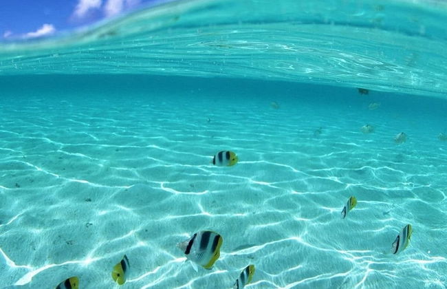 Royale Suites by Arc Royale Luxury Apts - Foto 27