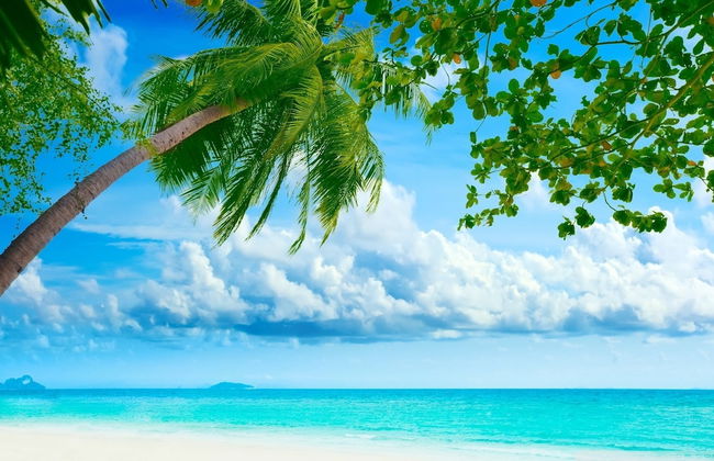 Royale Suites by Arc Royale Luxury Apts - Foto 28