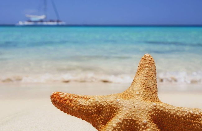 Royale Suites by Arc Royale Luxury Apts - Foto 23