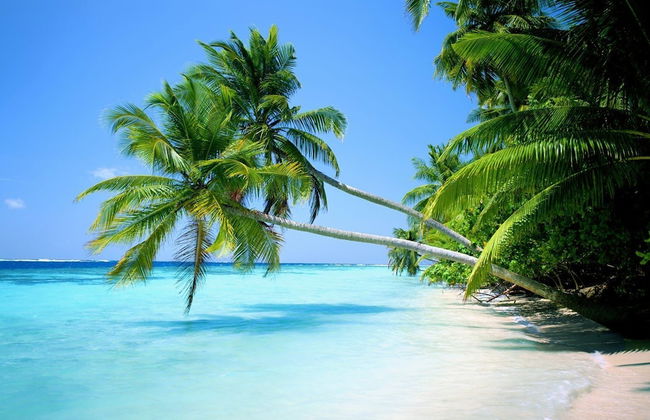 Royale Suites by Arc Royale Luxury Apts - Foto 24