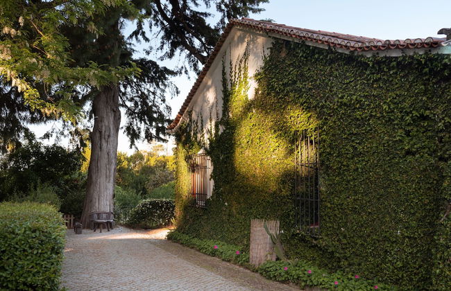 Imani Country House - Foto 62