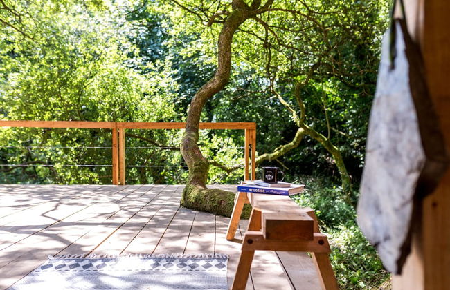 6 Person Cabin, Surrounded by Nature in Tintagel - Photo 17