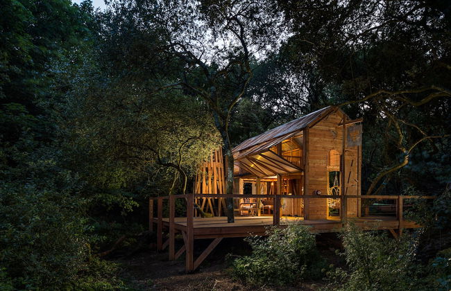 6 Person Cabin, Surrounded by Nature in Tintagel - Photo 25