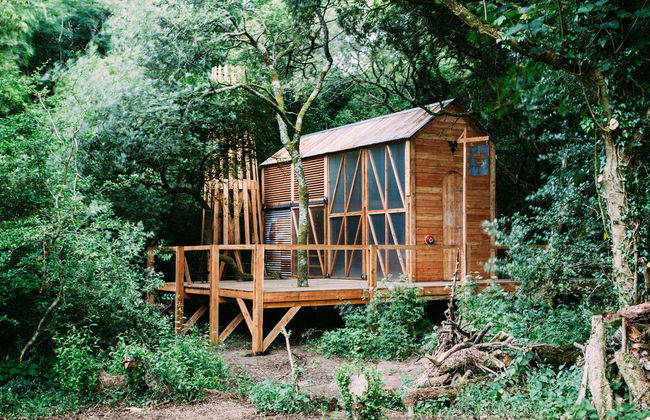 6 Person Cabin, Surrounded by Nature in Tintagel - Photo 30