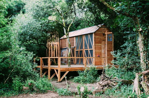 Foto 24 - 6 Person Cabin, Surrounded by Nature in Tintagel