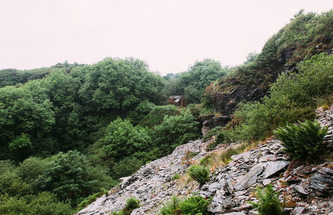 6 Person Cabin, Surrounded by Nature in Tintagel - Photo 15