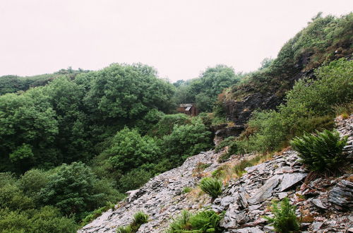 Photo 10 - 6 Person Cabin, Surrounded by Nature in Tintagel