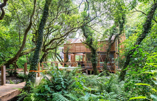 6 Person Cabin, Surrounded by Nature in Tintagel - Photo 24