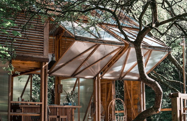 6 Person Cabin, Surrounded by Nature in Tintagel - Photo 23